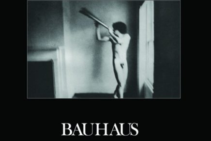 Bauhaus – In the flat field