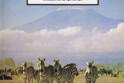 The Teardrop Explodes – Kilimanjaro