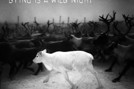 Melissa Laveaux – Dying is a Wild Night
