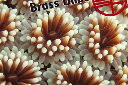 The Ex & Brass Unbound – Enormous Door