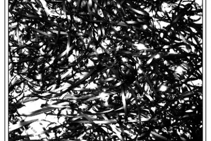 Clipping – Midcity Clipping – Midcity