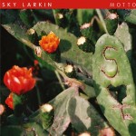 sky-larkin-motto-2013