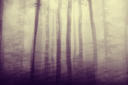 PHANTOM LOVE “Crave For Lust EP”