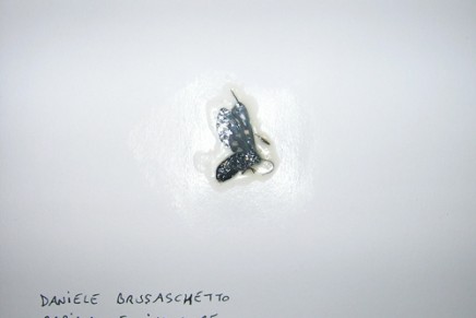 Daniele Brusaschetto – Rapida e Indolore