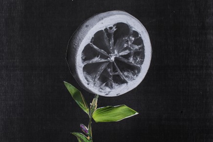 The Districts – A Flourish And A Spoil [Streaming]