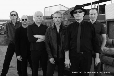 Radio Birdman in arrivo nel nostro paese.