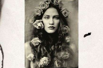 Alice Tambourine Lover – Like A Rose