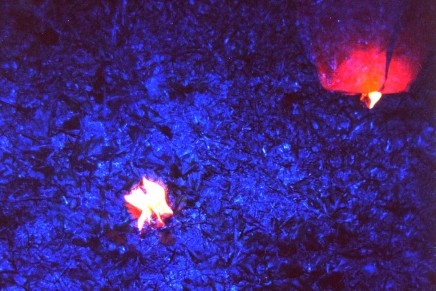 Jumping The Shark – Sogni Pesaresi Ep