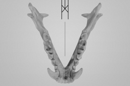 C R O W N – Natron