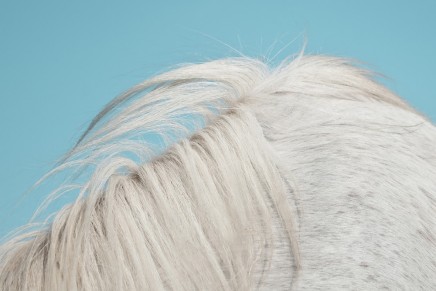 Widowspeak – All Yours