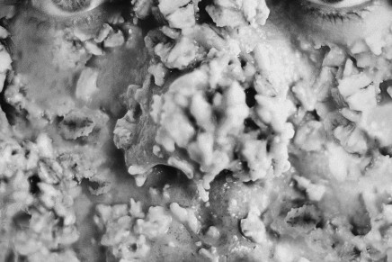 Perc, Techno-Politica d’assalto