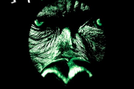 Ottodix: Disponibile da oggi “King Kong”