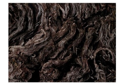 Lubomyr Melnyk – Rivers and Streams