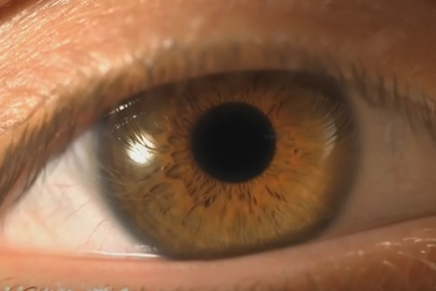 I Cani: ecco il video di “Non Finirà” e le date del Tour