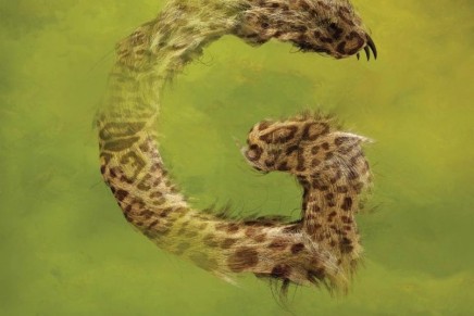 Ritorna la spazzatura dei Garbage