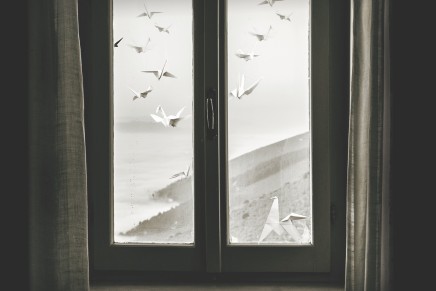 Giorgio Canali/Rossofuoco – Perle per porci