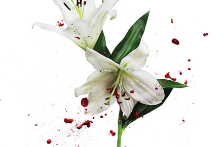 The Cult – Hidden City