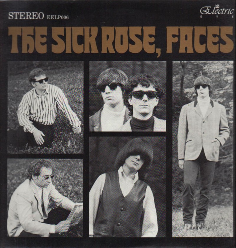 thesickrose-faces(raregaragelp)