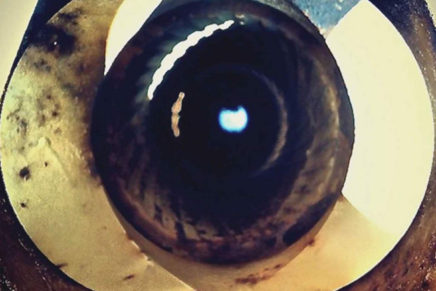 Big Mountain County – Anachronicle