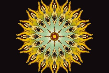 Verdena / Iosonouncane – Split Ep