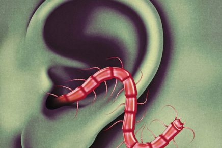 Thee Oh Sees: ascolta con noi il nuovo “An Odd Entrances”