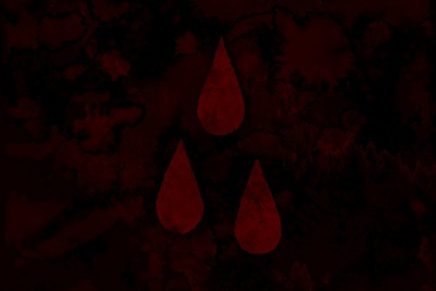 AFI – The Blood Album