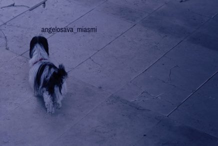 Angelo Sava – Miasmi