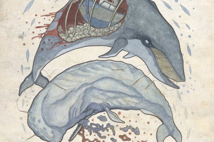 Sadside Project – Winter Whales War
