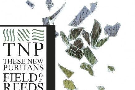 These New Puritans –  Field Of Reeds
