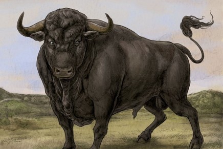 San Fermin – San Fermin