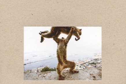 Shellac – Dude Incredible