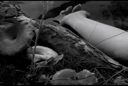 Lost in the Woods: il nuovo video degli Afghan Whigs