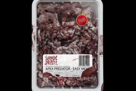 Napalm Death: il nuovo brano How the Years Condemn