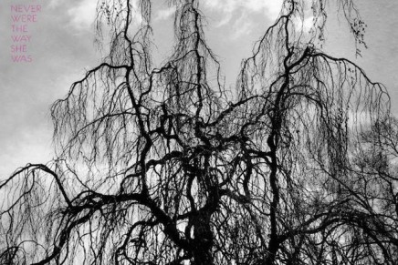 Sarah Neufeld e Colin Stetson: ecco “Never Were The Way She Was”