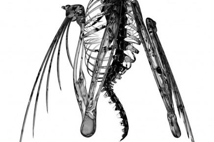 Lotic – Heterocetera