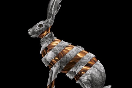 San Fermin – Jackrabbit