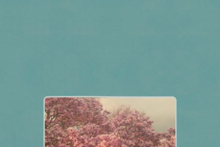 Beirut annunciano un nuovo album “No No No”