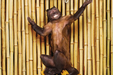 Chk Chk Chk – As If Chk Chk Chk – As If