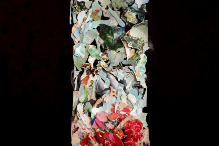 Foxtrott – A Taller Us Foxtrott – A Taller Us