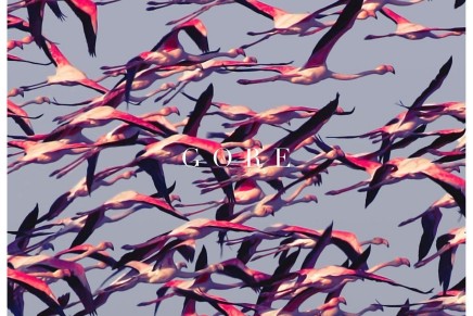 Deftones – Gore Deftones – Gore