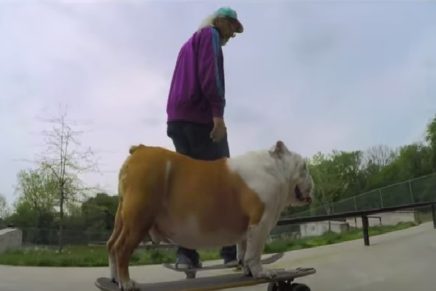 J Mascis, il suo bulldog, e il nuovo video dei Dinosaur Jr.
